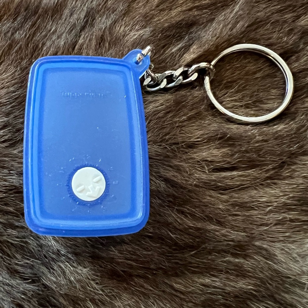 Vintage Tupperware Freeze-It Smart Freezer Mates Keychain – Clear with Blue Lid